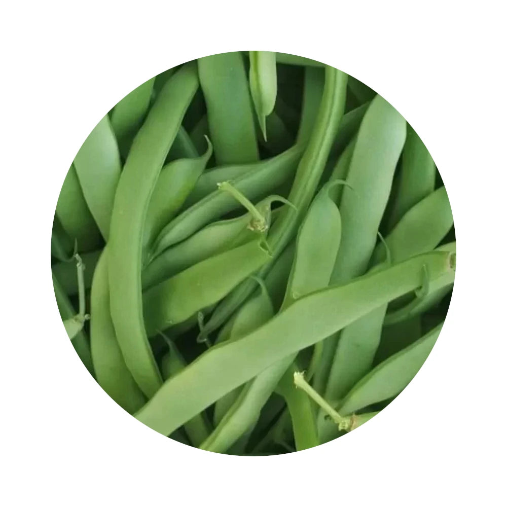 Fresh Green Beans from Amish Farm, 1 lb