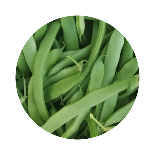 Fresh Green Beans from Amish Farm, 1 lb