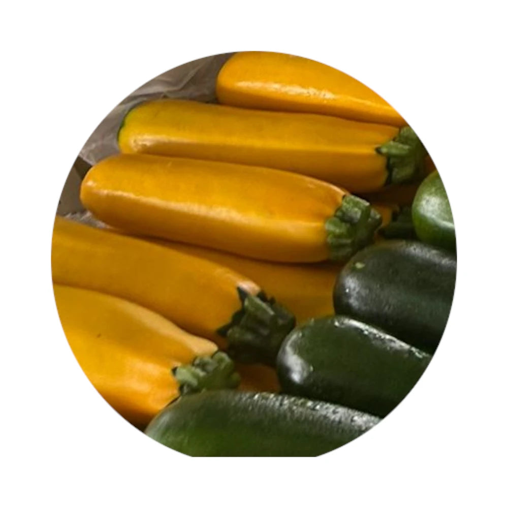 Zucchini from Amish Farm, Each