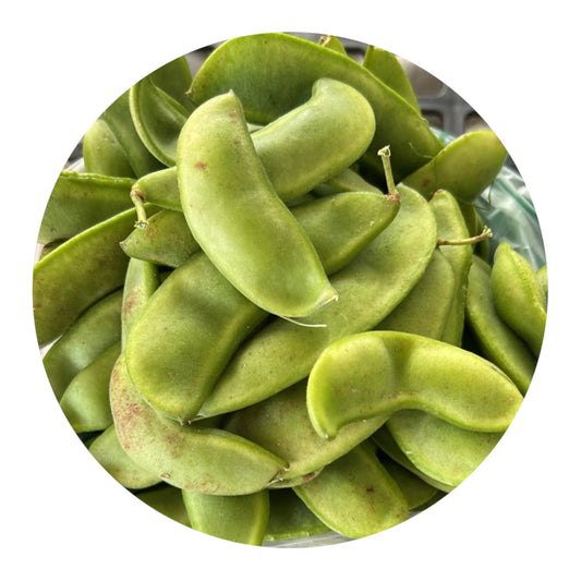 Fresh Green Lima Beans Homegrown from Amish Farm, 1 lb