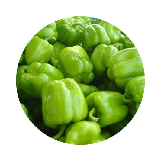 Small Green Bell Peppers from Amish Farm, 1 lb