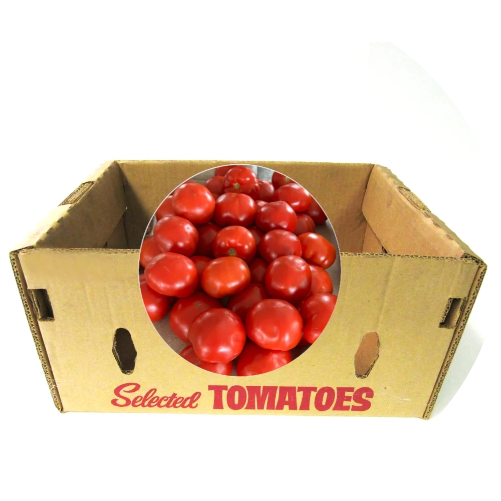 Fresh Slicing Tomato from Amish Farm