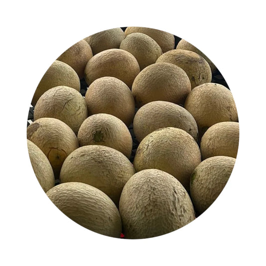 Cantaloupe from Amish Farm, Small