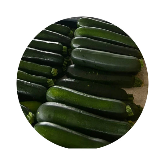 Zucchini from Amish Farm, Each