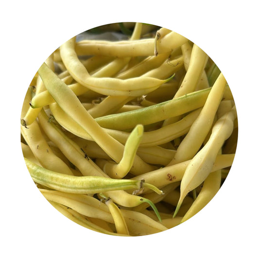 Fresh Yellow String Beans Homegrown from Amish Farm, 1 lb