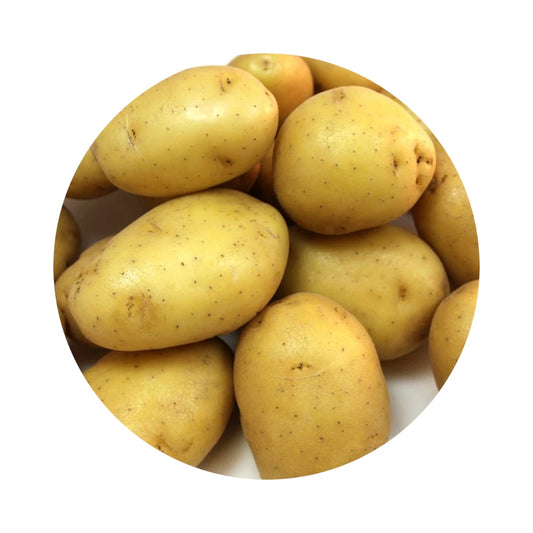 Fresh Yellow Potato from Amish Farm