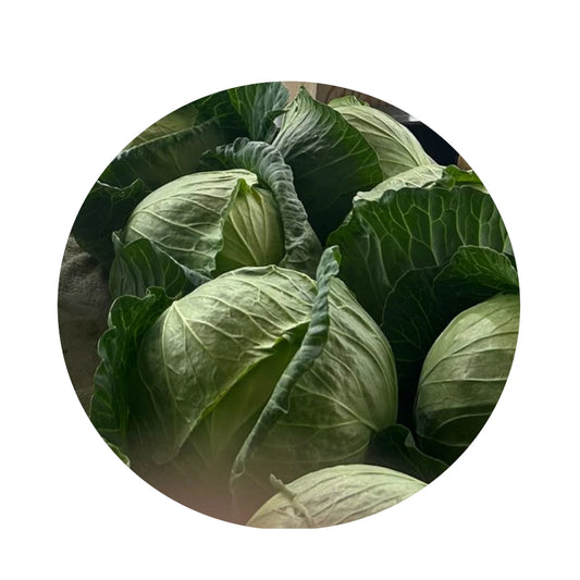 Cabbage from Amish Farm, Medium