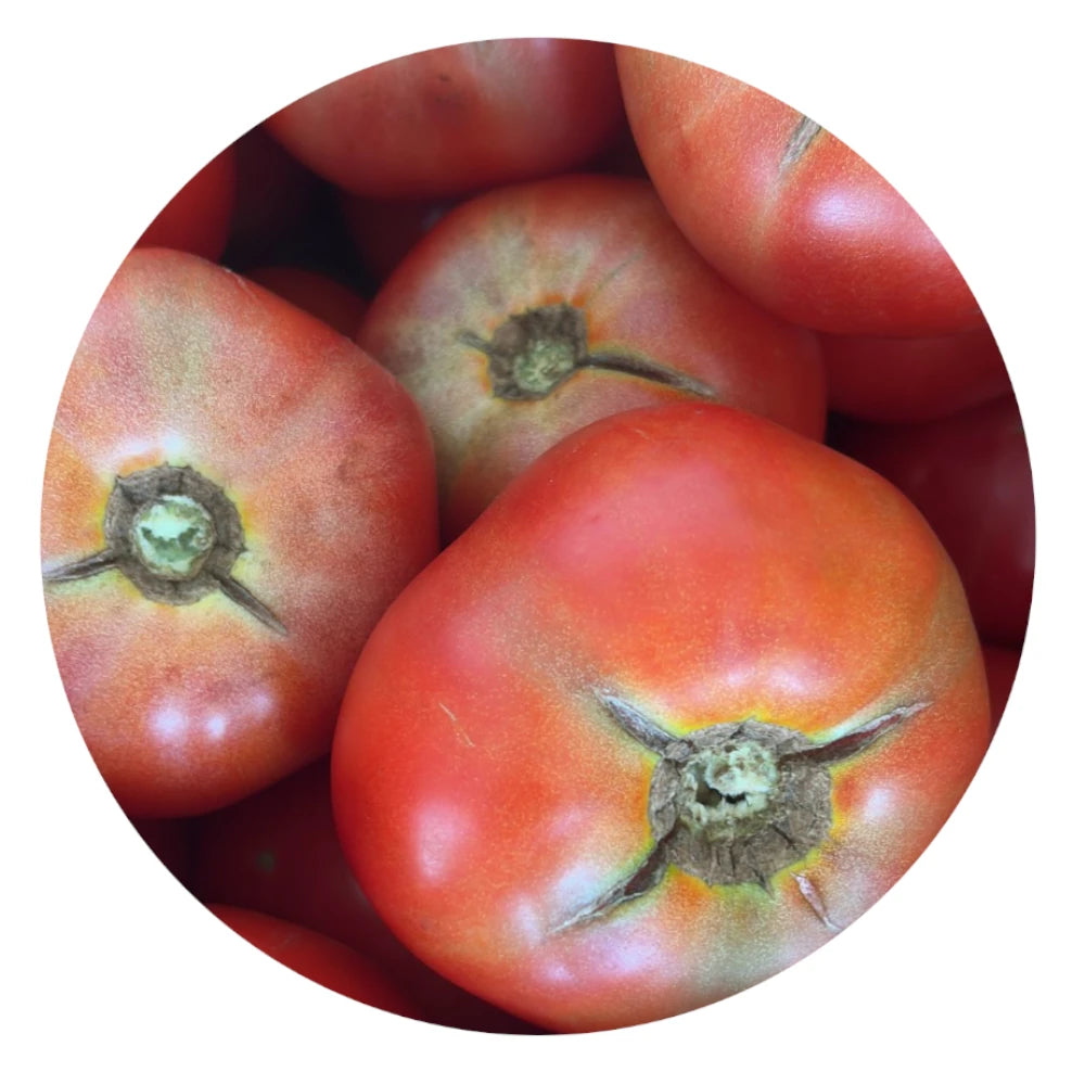 Fresh Crack Tomato, Picked at Peak Ripeness from Amish Farm