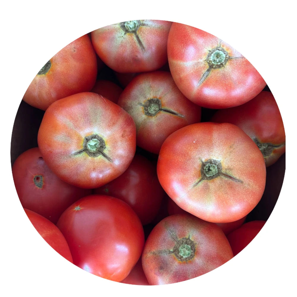Fresh Crack Tomato, Picked at Peak Ripeness from Amish Farm