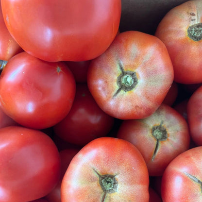Fresh Crack Tomato, Picked at Peak Ripeness from Amish Farm