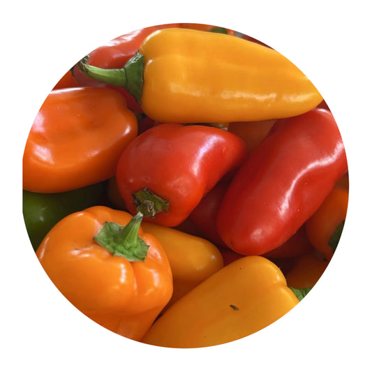 Fresh Sweetie Mix Peppers Homegrown from Amish Farm, 1 lb