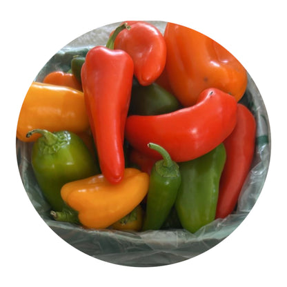 Fresh Sweetie Mix Peppers Homegrown from Amish Farm, 1 lb