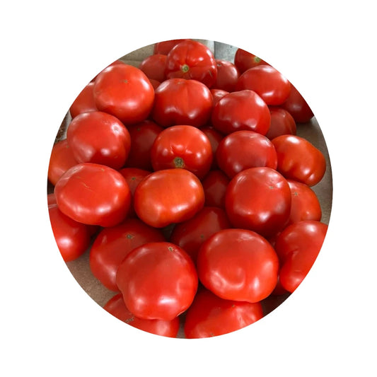 Fresh Slicing Tomato from Amish Farm