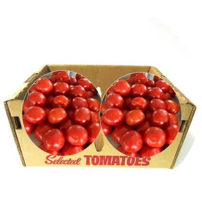 Fresh Slicing Tomato from Amish Farm