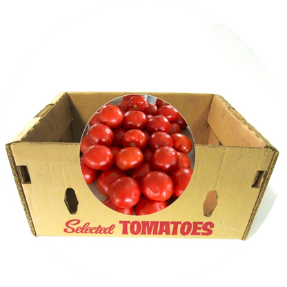 Fresh Slicing Tomato from Amish Farm